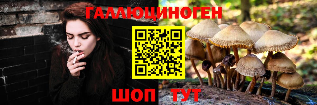 Туапсе  купить закладку  Вход с VPN  Псилоцибиновые грибы Psilocybine cubensis 